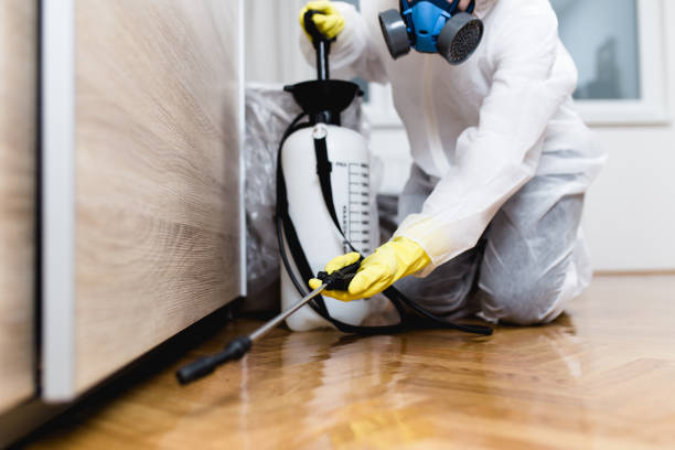 Best Pest Control Near Me  in Mineral Springs, AR