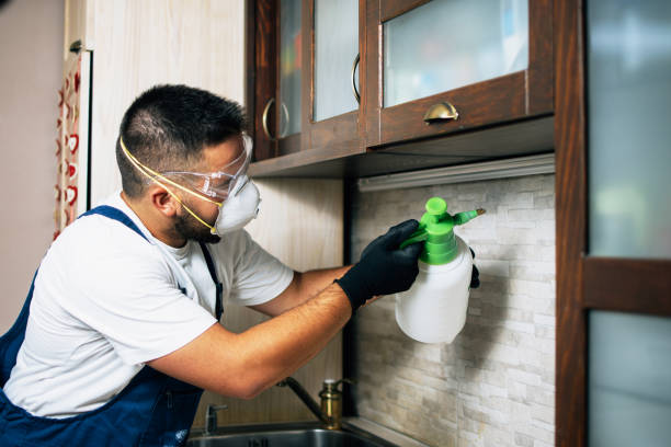 Best Wasp Removal Services  in Mineral Springs, AR