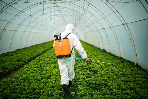 Best Best Pest Control Companies  in Mineral Springs, AR
