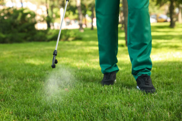 Best Bed Bug Extermination  in Mineral Springs, AR