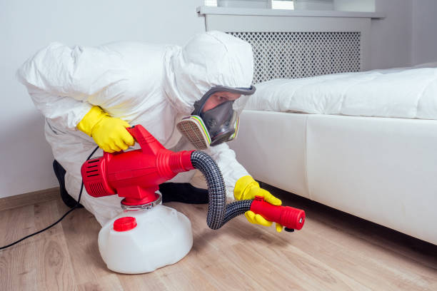 Best Ant Control Services  in Mineral Springs, AR