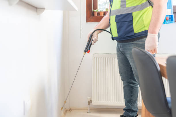 Best Mosquito Control Services  in Mineral Springs, AR