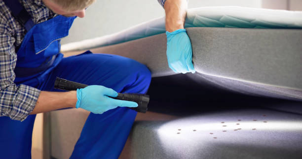 Flea Control Services in Mineral Springs, AR