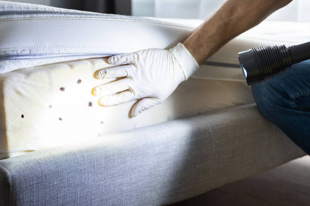 Best Commercial Pest Control Services  in Mineral Springs, AR