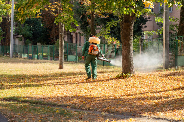 Best Pest Prevention Services  in Mineral Springs, AR
