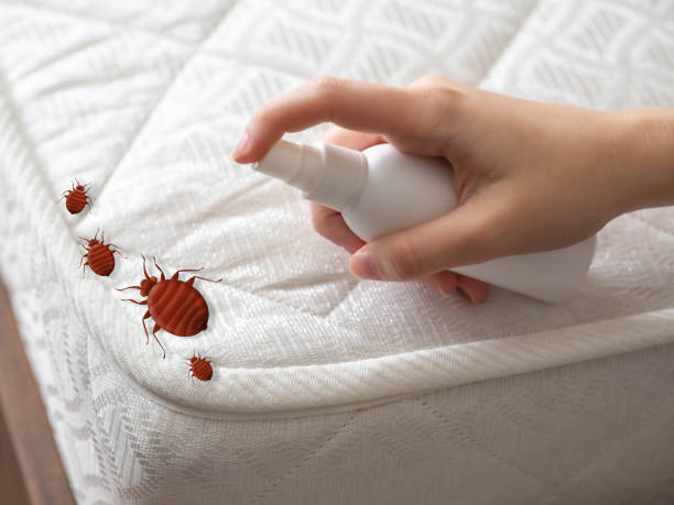 Best Pest Inspection Near Me  in Mineral Springs, AR