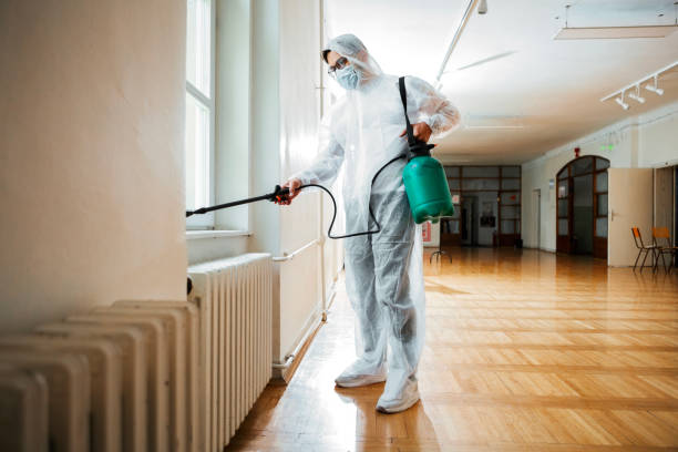 Best Pest Control Near Me  in Mineral Springs, AR