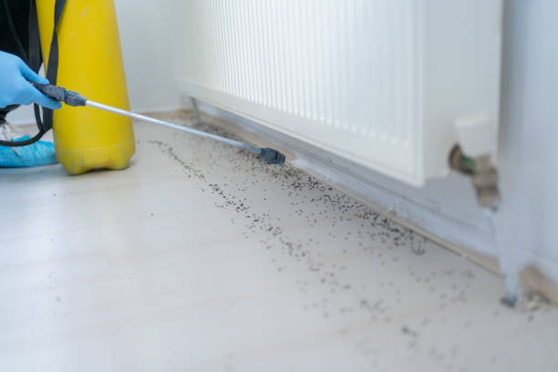 Trusted Mineral Springs, AR Pest Control Experts