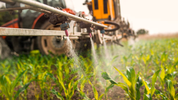 Trusted Mineral Springs, AR Pest Control Experts
