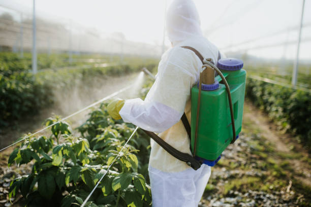 Best Best Pest Control Companies  in Mineral Springs, AR